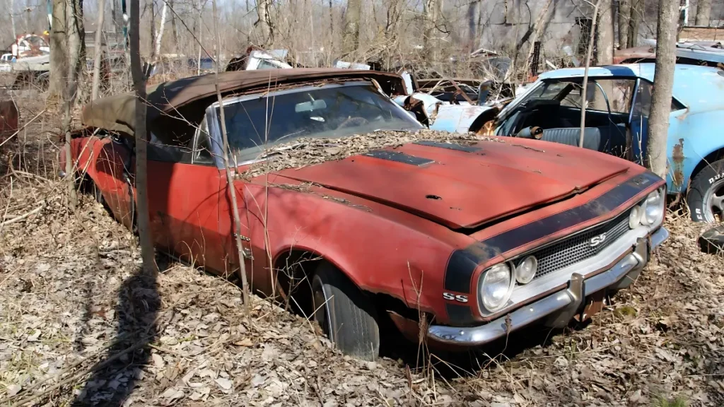 Hidden Treasure: Michigan Junkyard Reveals Classic Car Collection