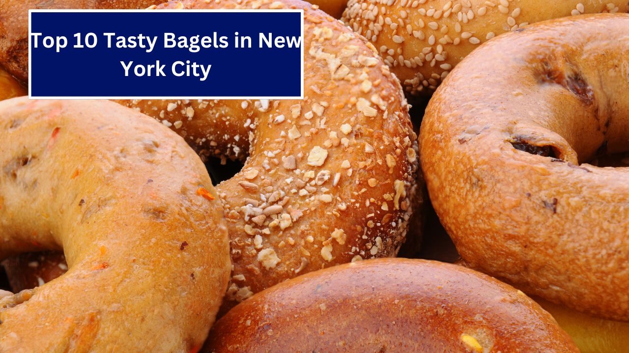 Tasty Bagels