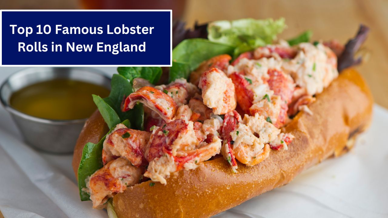 Top 10 Famous Lobster Rolls in New England