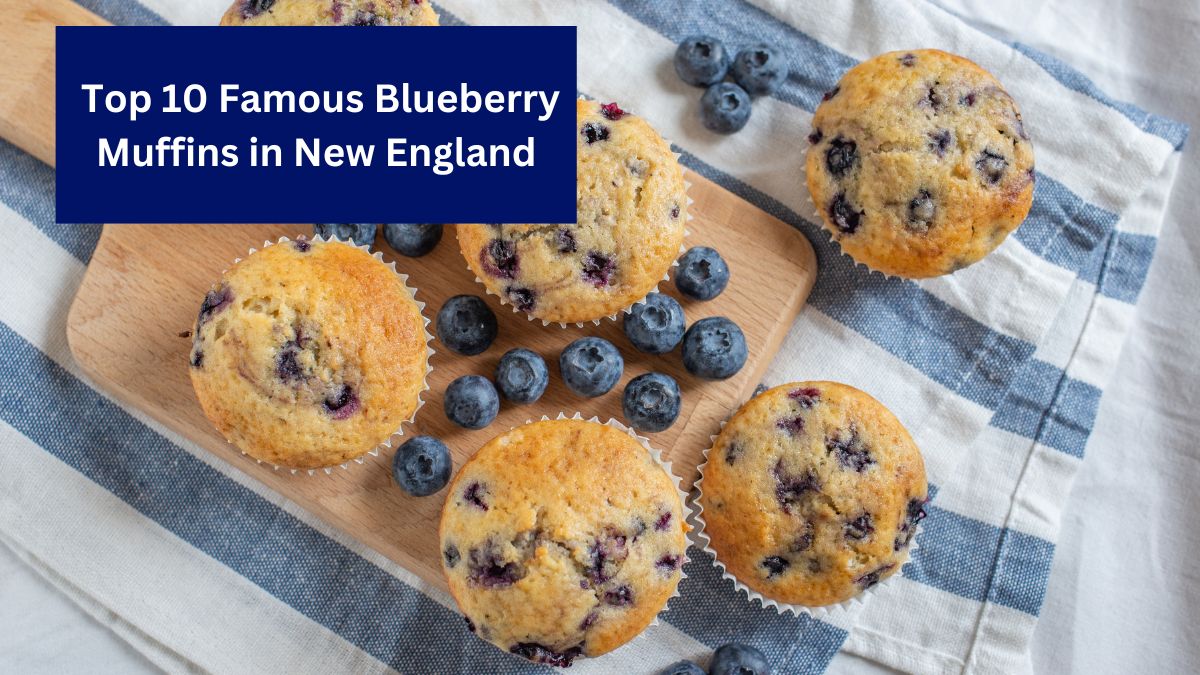 Top 10 Famous Blueberry Muffins in New England