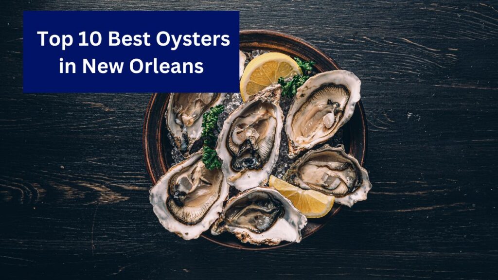 Top 10 Best Oysters in New Orleans