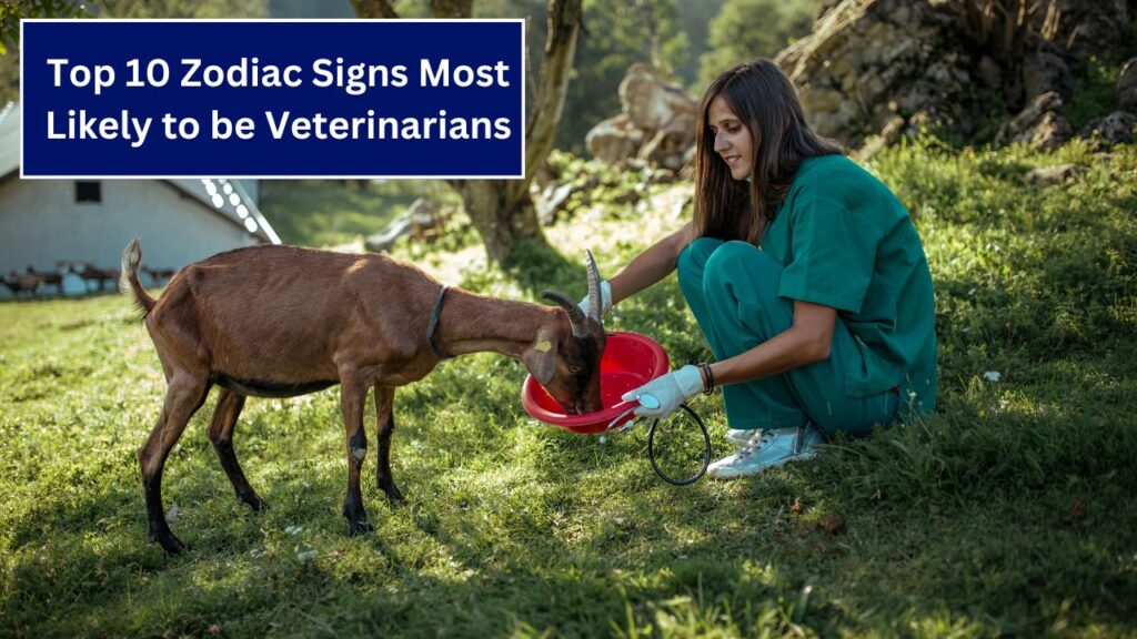 Top 10 Zodiac Signs Most Likely to be Veterinarians